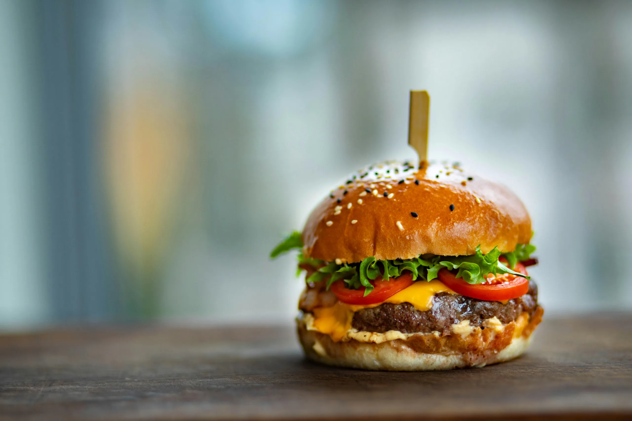 Hamburger 2
